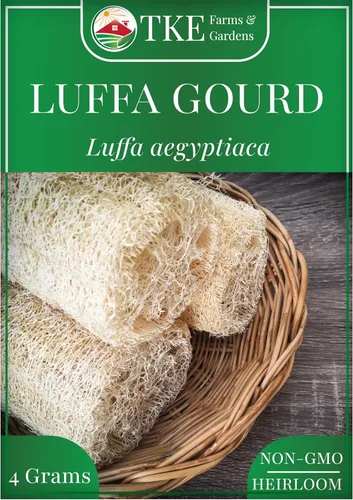 TKE Farms & Gardens - Semillas de calabaza Luffa para plantar, más de 30 semillas de lufa no transgénicas, cultivar esponjas naturales o cosechar