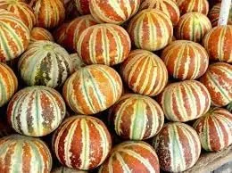 Miniatura 2 de Nuevas semillas frescas de fruta de melón kajari 100pcs Generic