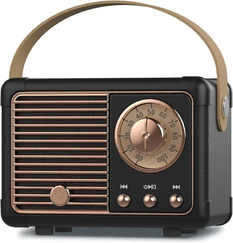 PRUNUS J-999 - Altavoz Bluetooth retro, decoración vintage, mini altavoz inalámbrico Bluetooth, lindo estilo antiguo compatible con tarjeta