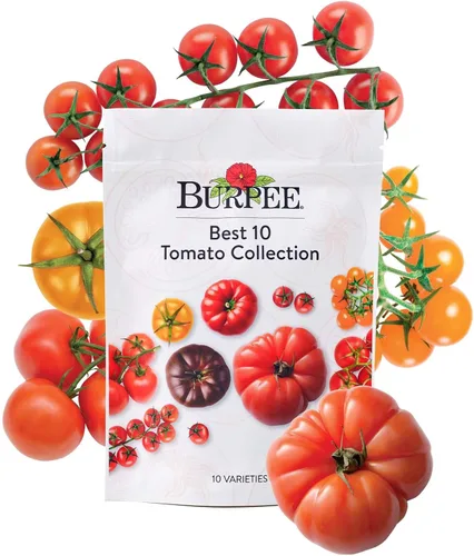 Miniatura 12 de Burpee Culinary Classics Garden Collection - 10 paquetes de cebollino sin OGM, cilantro, albahaca, salvia, tomillo, eneldo, perejil, manzanilla