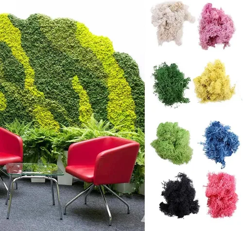 Miniatura 2 de Vctitil Musgo falso de 4.23 onzas, musgo de bosque preservado, musgo de reno, musgo para manualidades, plantas en maceta, arreglos florales, jardín