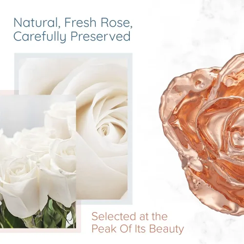 Miniatura 2 de Fantasy Rose Rosa bañada en oro rosa, única y eterna, sumergida a mano en rosa de oro rosa, de 11 a 12 pulgadas