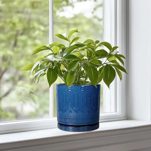 Miniatura 2 de Eightpot Maceta de cerámica de 6 pulgadas para plantas de exterior, maceta de interior con agujeros de drenaje y platillo para suculentas, maceta
