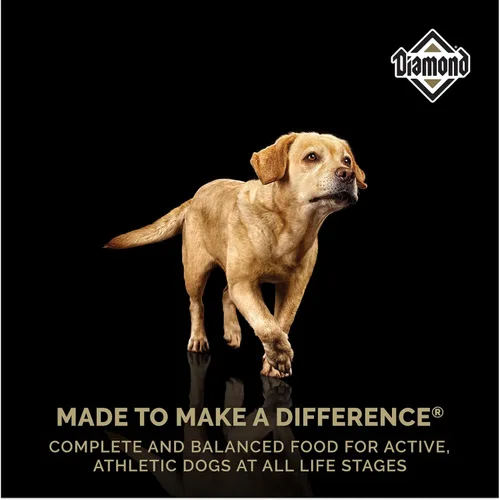 Miniatura 8 de Diamond Alimento seco para perros adultos de alta energía 24/20 para perros altamente activos, deportivos y de trabajo, bolsa de 50 libras