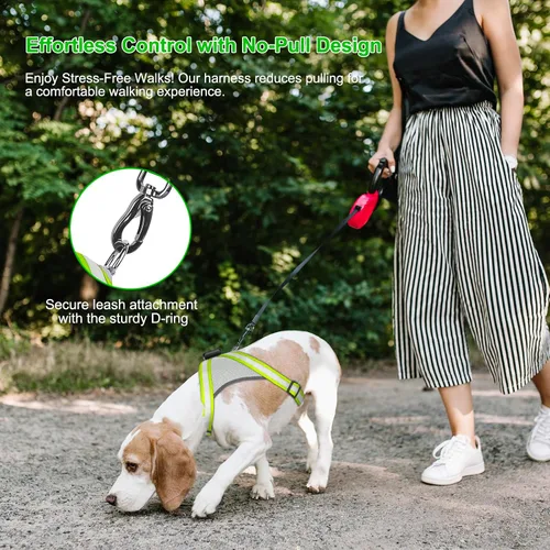 Miniatura 4 de Visinite Arnés LED para perro, chaleco de perro con luz recargable por USB, 2 modos de iluminación que brillan en la oscuridad, arnés ajustable