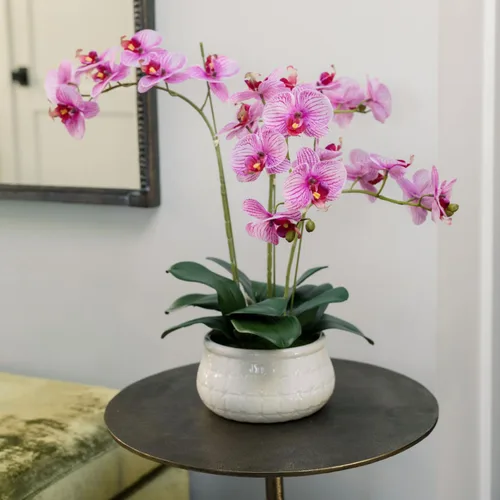 Miniatura 12 de CG Hunter Planta de orquídea sintética con suculentas, soporte de exhibición de flores artificiales de alta calidad para interiores de 23 pulgadas