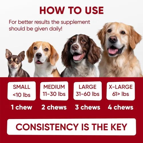 Miniatura 9 de Probióticos para la salud digestiva de los perros, masticables probióticos para la salud intestinal, levadura con picazón en la piel, diarrea