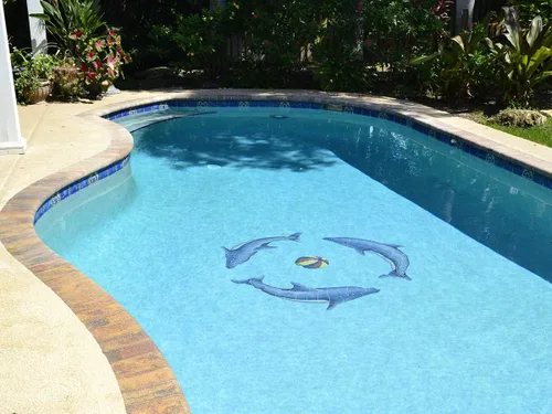 Miniatura 2 de Dolphin Group - Mosaico de cerámica para piscina (azul, 42 x 42 pulgadas)