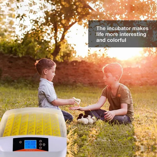 Miniatura 7 de Incubadora de huevos, 42 incubadoras de huevos para incubar huevos con girador automático digital de pollos Control de temperatura y humedad