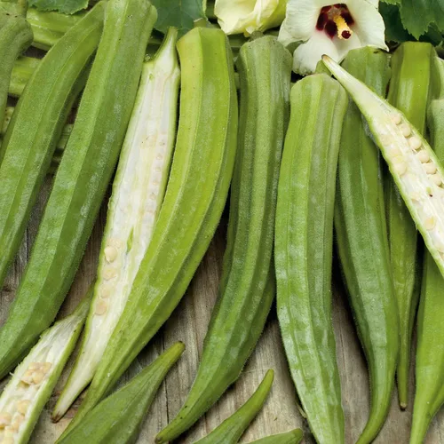 Miniatura 2 de Eden Brothers Semillas Okra Seeds Star of David sin OMG para plantar, 1 onza Semillas vegetales de bajo mantenimiento, plantas durante