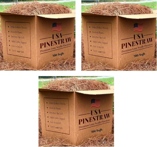 Miniatura 13 de Paja de pino de EE. UU., mantillo de aguja de pino de primera calidad (mantillo de aguja de pino, cubre 100 pies cuadrados, 2 juegos)