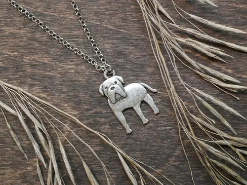Miniatura 26 de Collar de raza de perro Grupo A