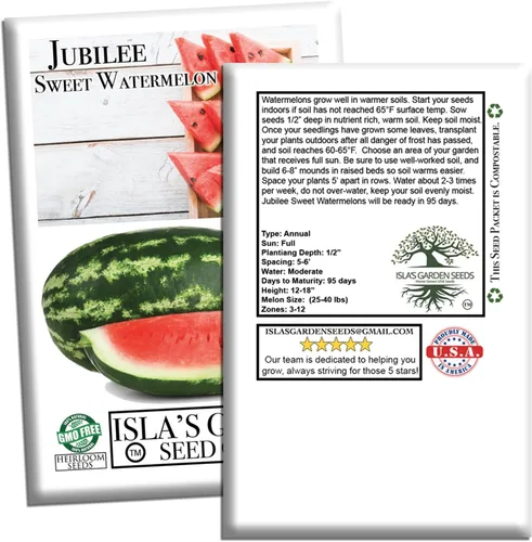 Miniatura 7 de Semillas de sandía dulce Jubilee (Citrullus lanatus) – Más de 50 semillas sin OMG y reliquias de Isla's Garden Seeds, melones grandes oblongos