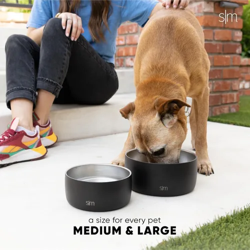 Miniatura 5 de Simple Modern Tazón de Agua de Acero Inoxidable para Mascotas para Perros y Gatos Tazones de Comida de Acero Inoxidable Aislados para Perros