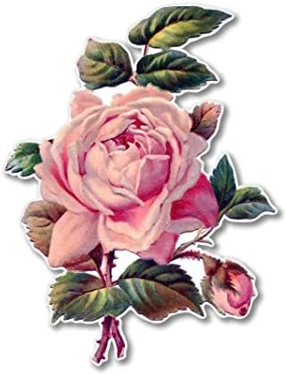 AK Wall Art Pegatina de vinilo Vintage Rose - Seleccionar tamaño