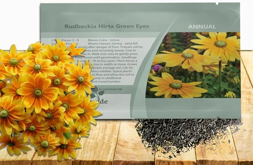 Outsidepride Green Eyes Rudbeckia Seeds - 5000 unidades. Semillas de flores anuales, fáciles de cultivar y auto-siembradas para plantar flores