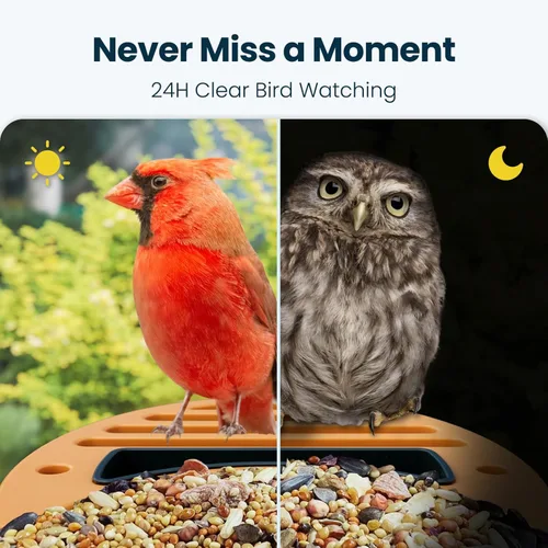 Miniatura 8 de Comedero inteligente para pájaros con cámara, cámara de observación de aves WiFi con energía solar de 2.5 K, identificación de especies de aves AI