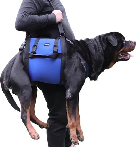 Miniatura 5 de Arnés de elevación para perros, mochila de emergencia para soporte de patas y rehabilitación para perros grandes, lesiones en las articulaciones