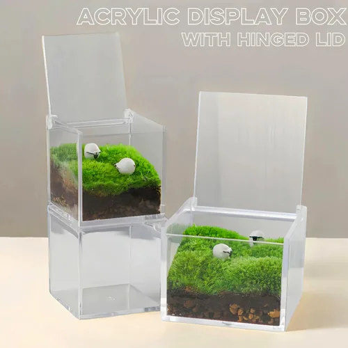 Miniatura 5 de KissYou Cajas de acrílico con tapa con bisagras, cajas pequeñas de Lucite, caja de exhibición transparente para regalos, golosinas y accesorios