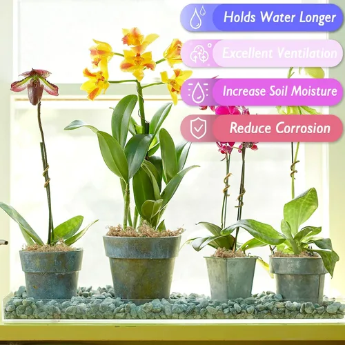 Miniatura 4 de Halatool Musgo esfagnum prémium de 3.6 onzas para plantas de interior, mezcla para macetas de musgo de orquídea de 4 cuartos de galón, musgo