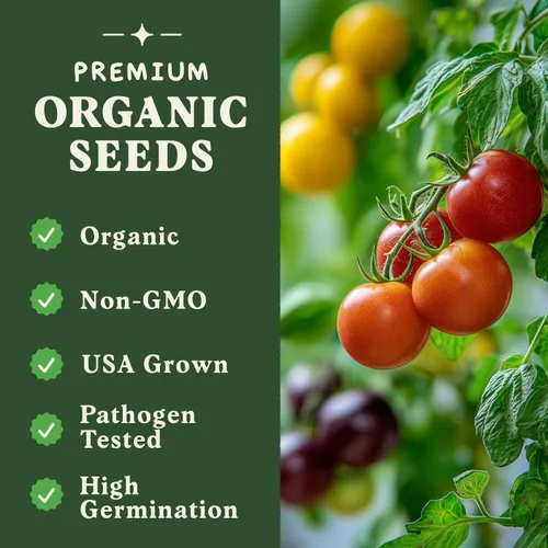 Miniatura 3 de Seedboy Semillas orgánicas de tomate Beefsteak arcoíris para plantar en interiores y exteriores, paquete de semillas de vegetales sin OMG