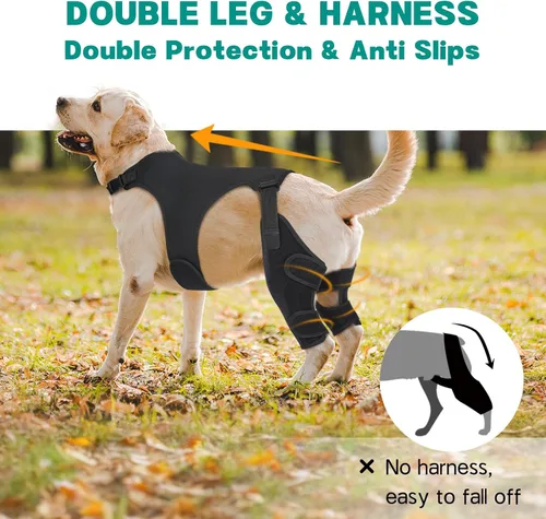 Miniatura 3 de Rodilleras ajustables para patas de perro para pierna trasera, con 4 estabilizadores, ACL para reducir el dolor, lesiones de ligamentos y rótula