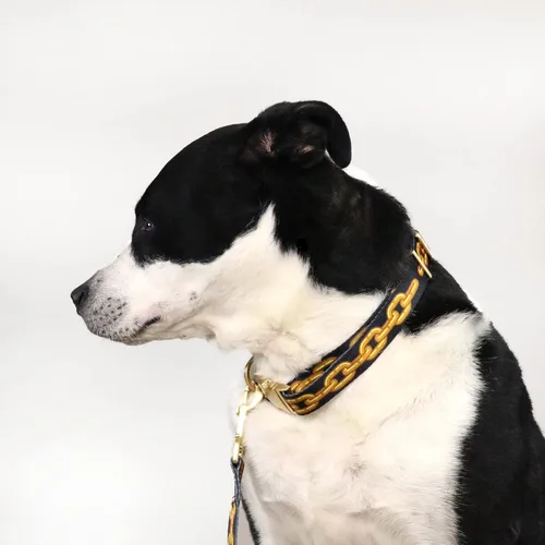 Miniatura 5 de Snoop Doggie Doggs Collar de lujo para mascotas, fuera de la cadena, pequeño