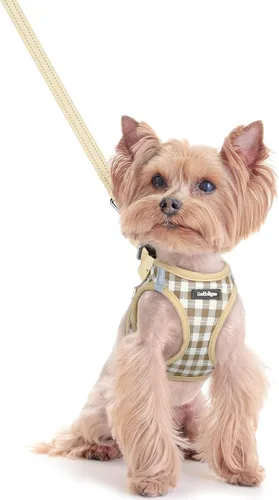 rabbitgoo Juego de arnés para perro de tamaño pequeño y correa, chaleco ligero suave para cachorro, arnés de malla transpirable para mascotas,