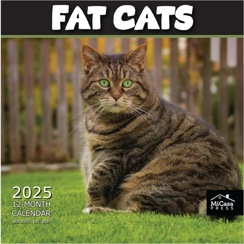 Miniatura 10 de MICASA PRESS Calendario de pared de gatos 2026 de 12 meses 12 x 24 pulgadas abierto Papel grueso y resistente Regalo de vacaciones Lindo