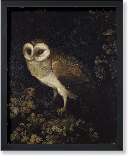Poster Master Póster vintage de búho – Impresión de pintura retro de búho – Arte Moody – Arte de pájaro – Gran regalo para hombres, mujeres, amantes