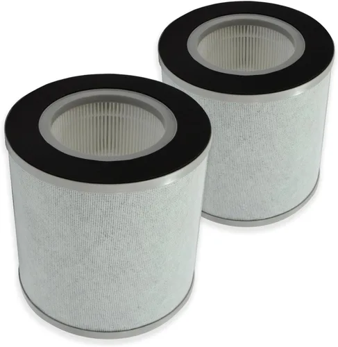 PUREBURG Filtros HEPA de repuesto compatibles con el purificador de aire Bagotte BAP30, filtración H13 de 4 etapas de carbón activado 2 en 1 para