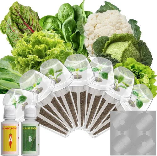 Miniatura 14 de Vainas de semillas de flores y frutas LYKOCLEAN para AeroGarden, Ahopegarden, sistema de cultivo hidropónico iDOO para interiores, 350 semillas+