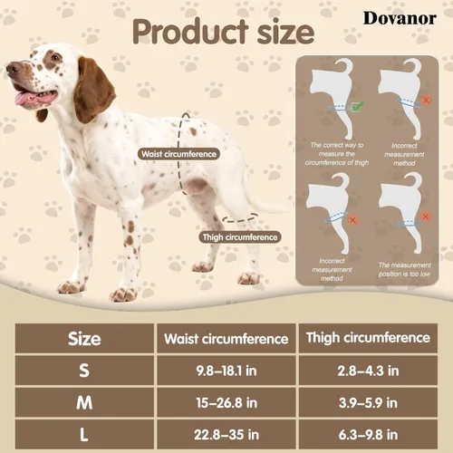 Miniatura 4 de Soporte ortopédico de cadera para perro, soporte para displasia de cadera para perro, soporte para displasia de cadera, artritis, rótula luxante