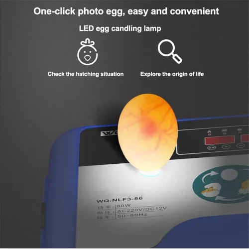 Miniatura 5 de Incubadora de huevos, incubadoras digitales totalmente automáticas, control automático de temperatura de torneado de huevos, pantalla LED