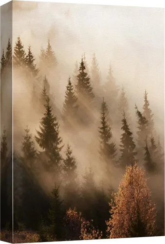 SIGNFORD Lienzo impreso para pared, bosque brumoso, amanecer, bosques encantados y luz matutina, fotografía, realismo, decorativo, escénico,