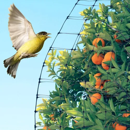 Miniatura 3 de Feitore - Red de malla para ciervos, 7 x 100 pies, red de protección anti pájaros, red de jardín reutilizable, protección para plantas, árboles