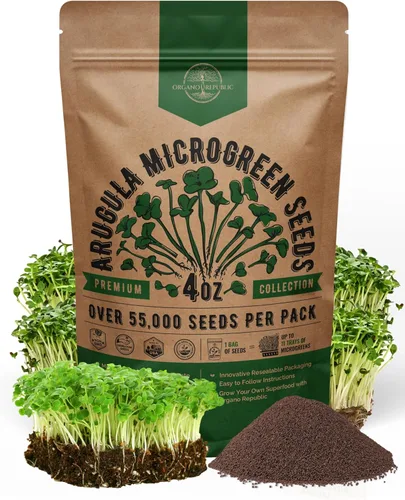 Organo Republic Semillas de germinación de rúcula y microgreens – 55,000 semillas de reliquia sin OMG, brotes en bolsa resellable de 4 onzas para