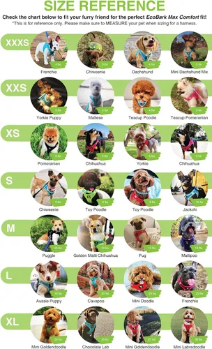 Miniatura 8 de EcoBark Arnés para perro – Arneses ecológicos para perros XXS, XS y pequeños – Chaleco de cuerpo pequeño reflectante y ajustable – Arnés de malla