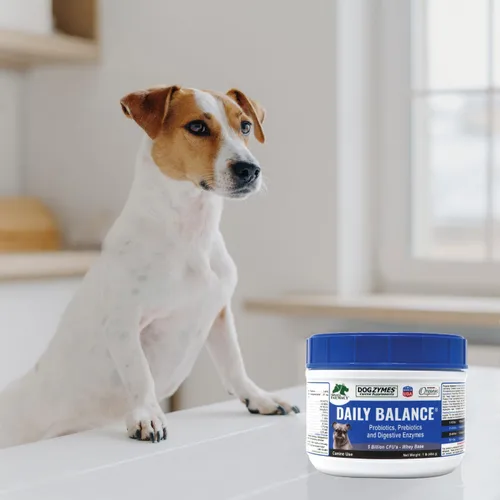 Miniatura 5 de DOGZYMES Potenciador digestivo en polvo soluble para perros (8 onzas)