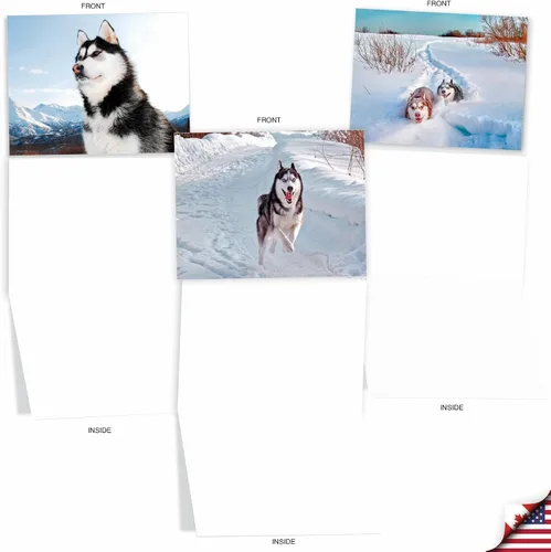 Miniatura 3 de The Best Card Company - 10 adorables tarjetas de perro en blanco (4 x 5.12 pulgadas) - Razas de mascotas surtidas, juego en caja - Adorables perros