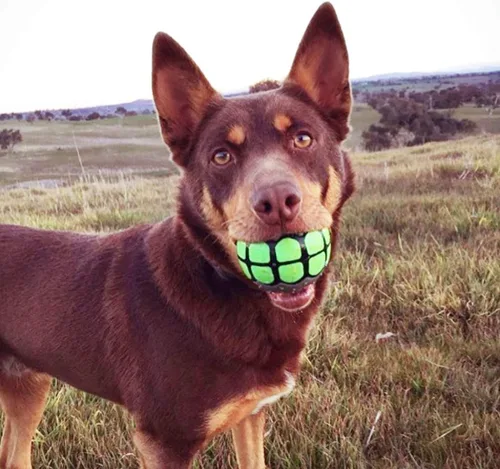 Miniatura 3 de Pelotas para perros, juguetes Squeaky Fetch, regalos divertidos de goma para perros grandes y medianos (paquete variado)