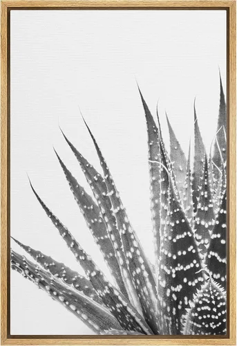 Miniatura 25 de Lienzo enmarcado para pared, diseño de rosa del desierto con pinchos, plantas florales suculentas, fotografía, arte moderno, primer plano