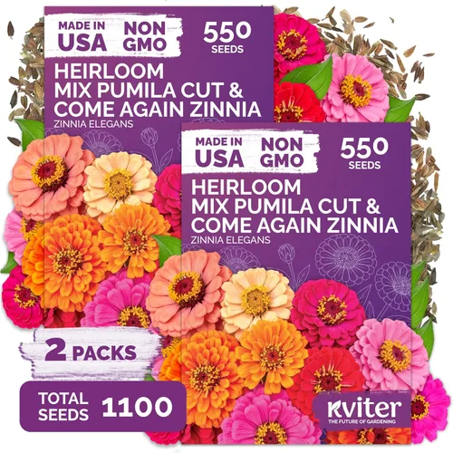 Miniatura 11 de KVITER Mezcla de 100 semillas de calabaza pequeñas (Cucurbita Pepo), paquete de 2 – Calabazas ornamentales de otoño, sin OGM – Semillas de reliquia
