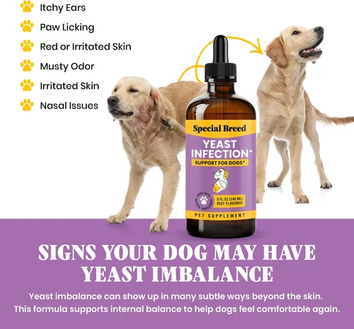 Miniatura 3 de Alivio natural de la infección por levaduras para perros – Tratamiento de picazón en la piel y los oídos, apoya la alergia y la salud inmunológica
