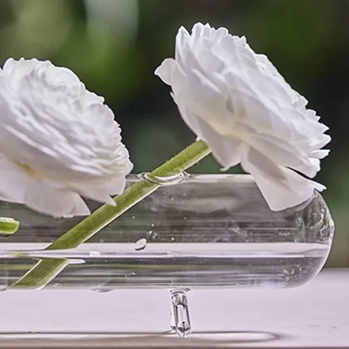 Miniatura 5 de Chive Florero de flores "Hudson Flute" con múltiples cámaras, bonitos y hermosos jarrones de vidrio para flores y plantas de interior, grande