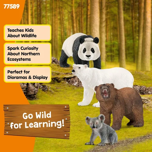 Miniatura 5 de Schleich Wild Life - Juego de 4 figuras de oso - Figura realista de panda, koala, grizzly y oso polar para niños y niños pequeños - Juguetes