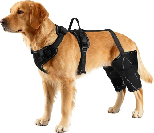 Miniatura 7 de Vivifying Arnés de soporte de cadera y piernas para perro para asistencia de movilidad, soporte ajustable para piernas traseras con asa de elevación