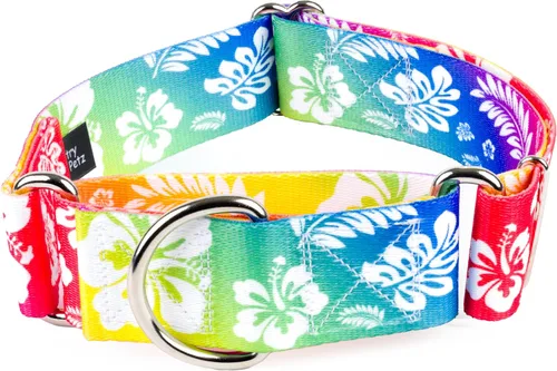 Miniatura 9 de Country Brook Petz HossFit Jr - Collar ancho Martingala para perro, colección Summer Breeze con diseños soleados (Anchors Away, M)