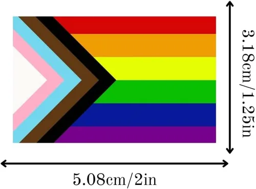 Miniatura 2 de 250 calcomanías de bandera arcoíris de Daniel Quasar Progress Pride para homosexuales, lesbianas, transgénero, conciencia LGBTQ, desfiles y eventos