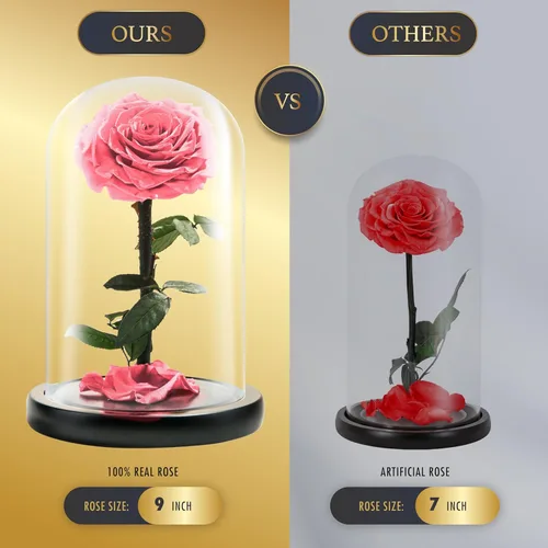 Miniatura 3 de Rosa Preservada para Siempre – Rosa Eterna en Cúpula de Cristal – Rosa de la Bella y la Bestia para Mamá – Flores Frescas para Entrega Prime